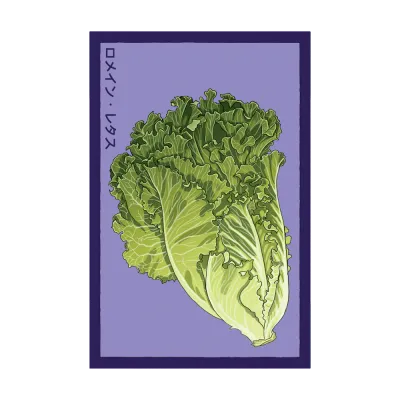 Romaine Lettuce Seed Packet