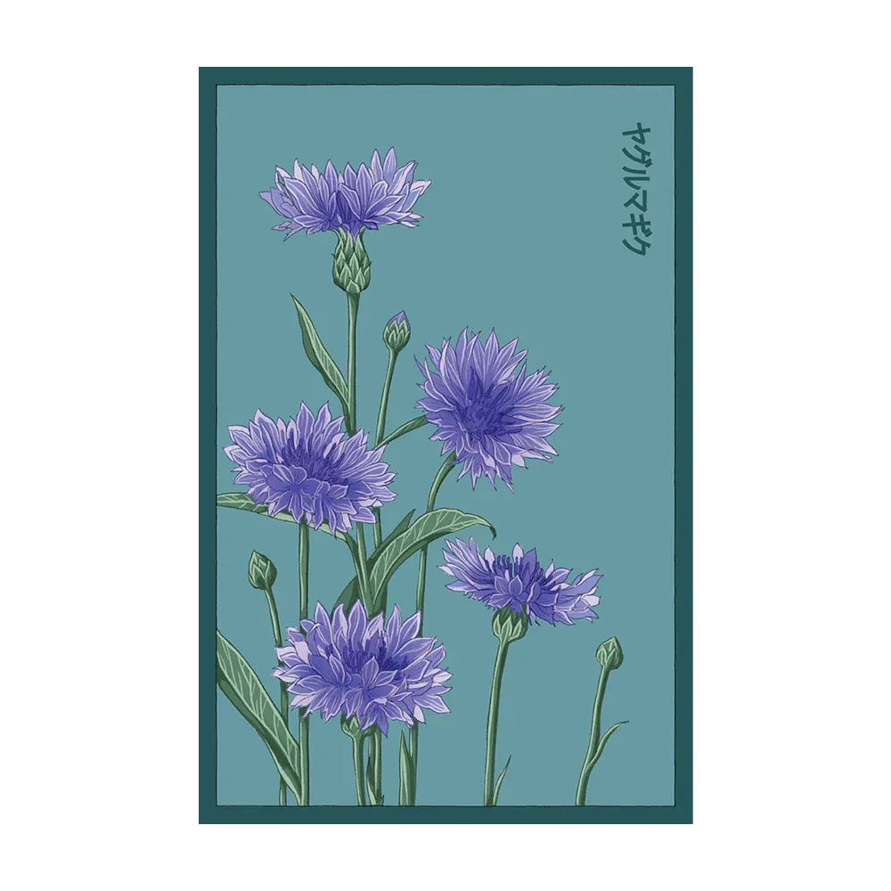 Blue Cornflower Seed Packet