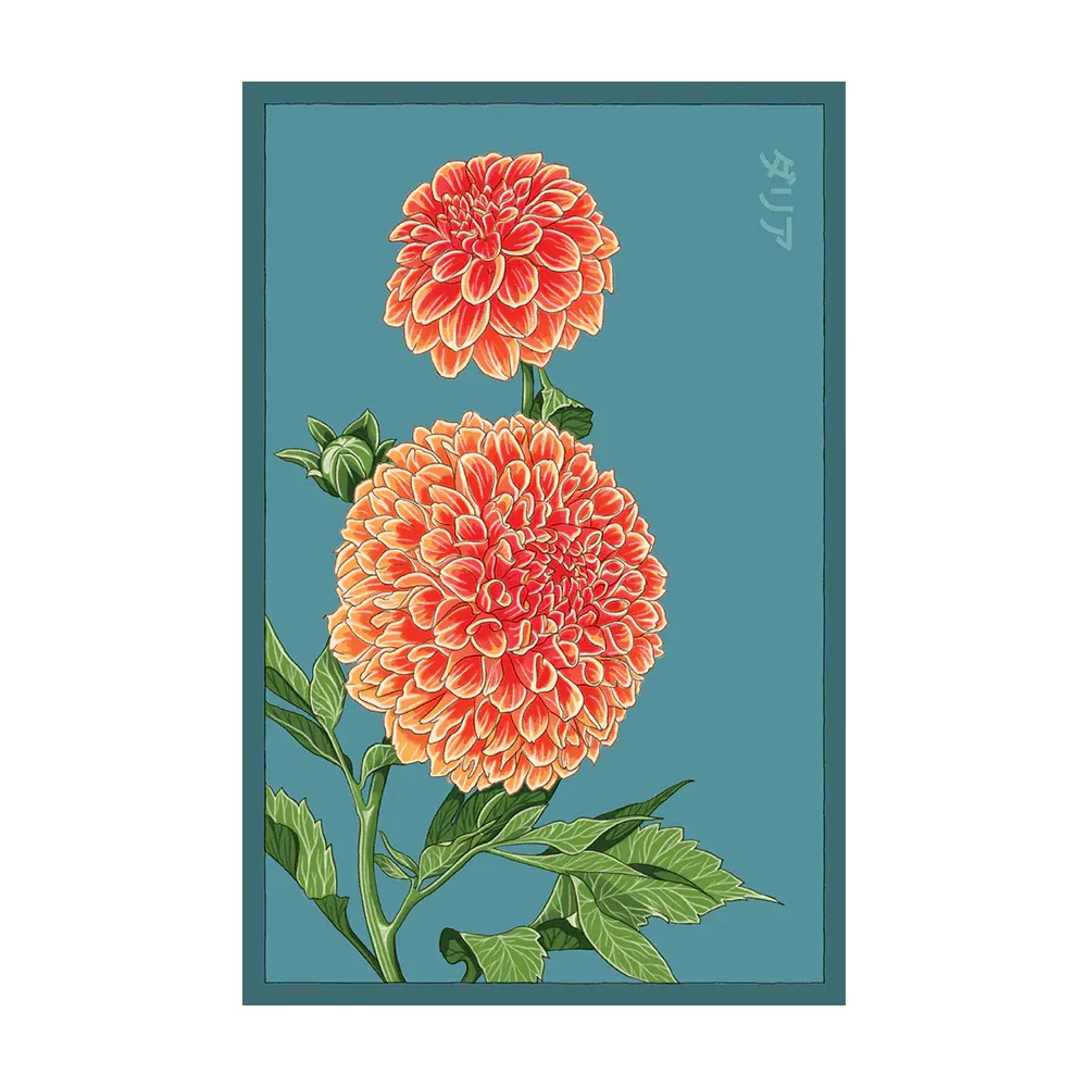 471 Chive Seed Packet "Dahlia"