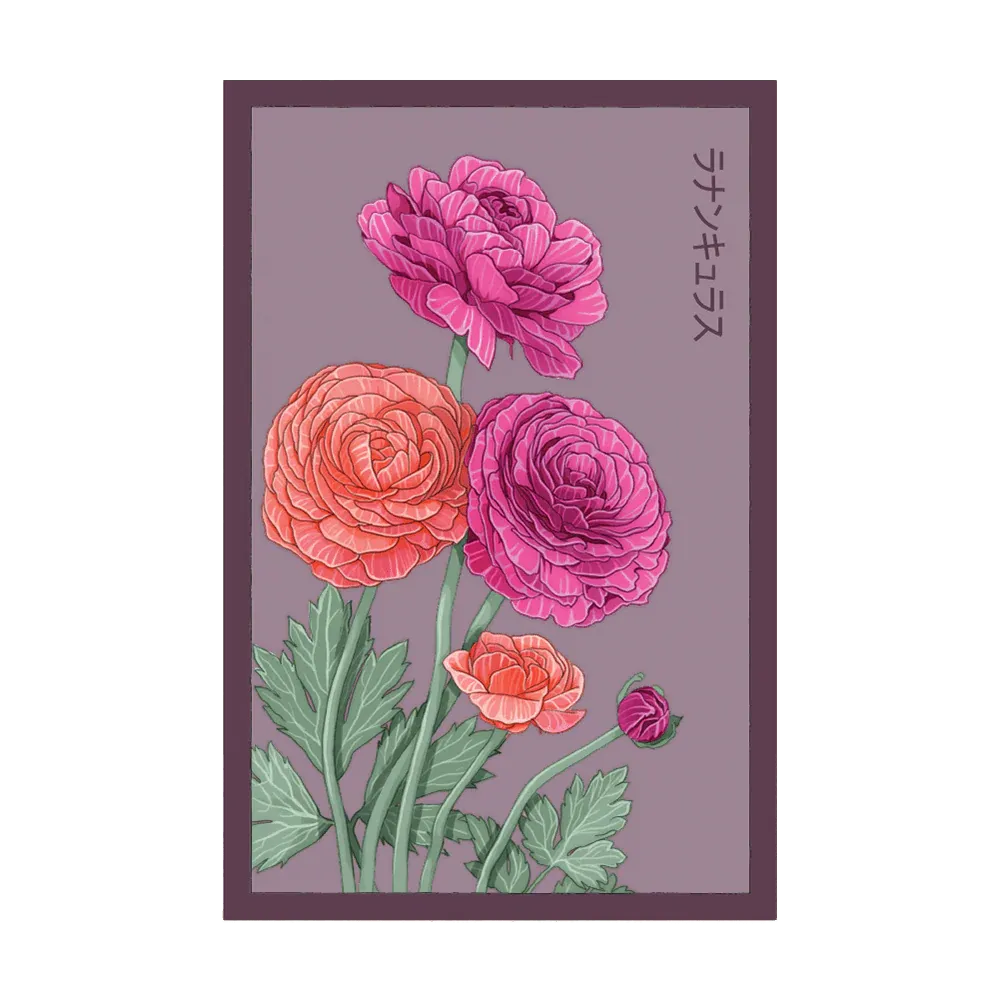 478 Chive Seed Packet "Ranunculus"