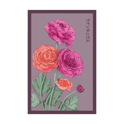 478 Chive Seed Packet "Ranunculus"