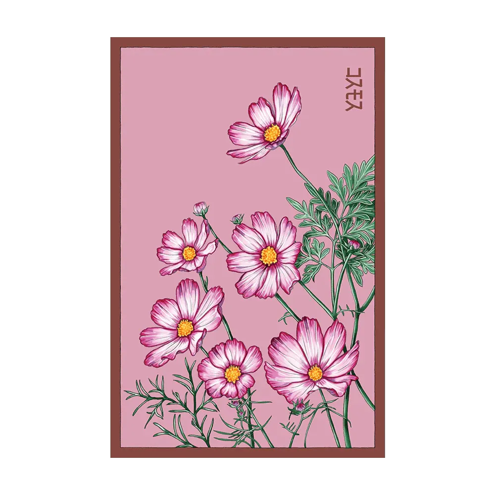 Cosmos Seed Packet