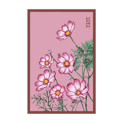 Cosmos Seed Packet