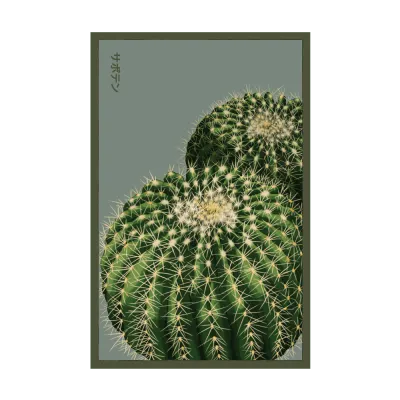 Cactus Seed Packet