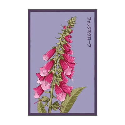 476 Chive Seed Packet "Foxglove"