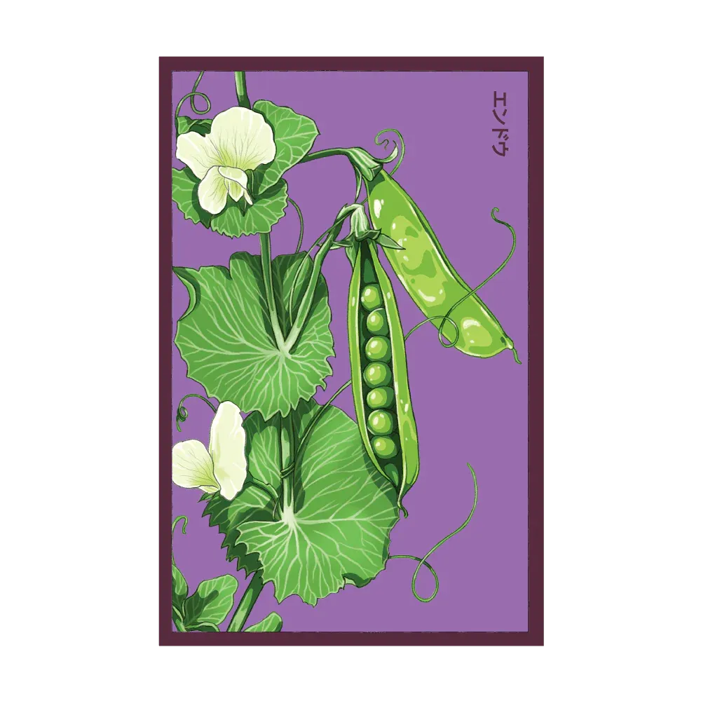 Little Marvel Peas Seed Packet