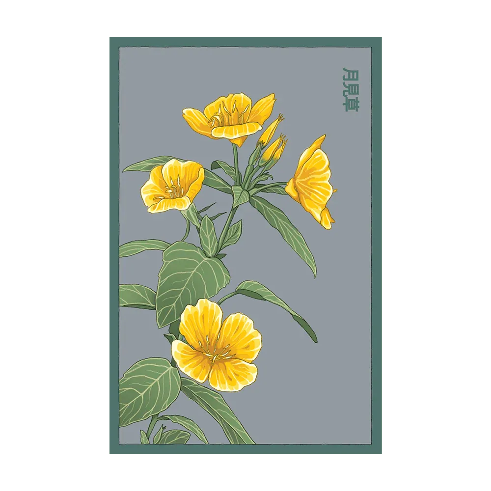 Evening Primrose Seed Packet