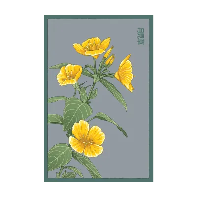 Evening Primrose Seed Packet