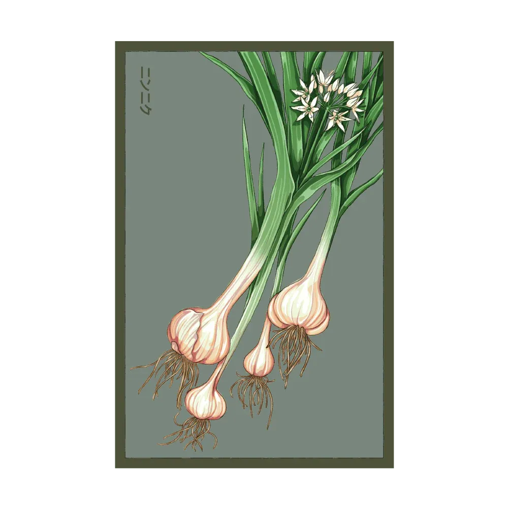 472 Chive Seed Packet "Garlic"