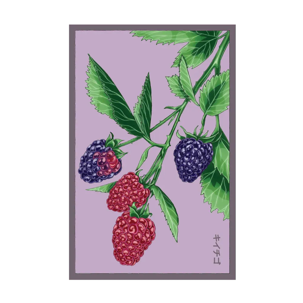 Tummelberry Seed Packet