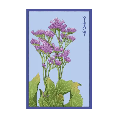 Sea Lavender Seed Packet