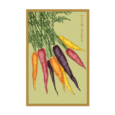 Rainbow Carrot Seed Packet