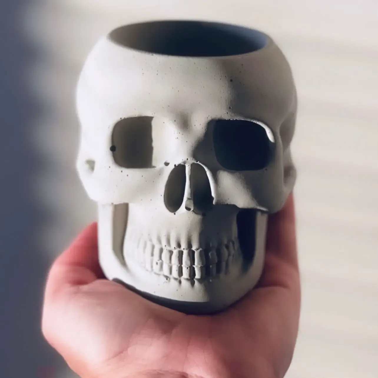 Natural Concrete Skull Planter