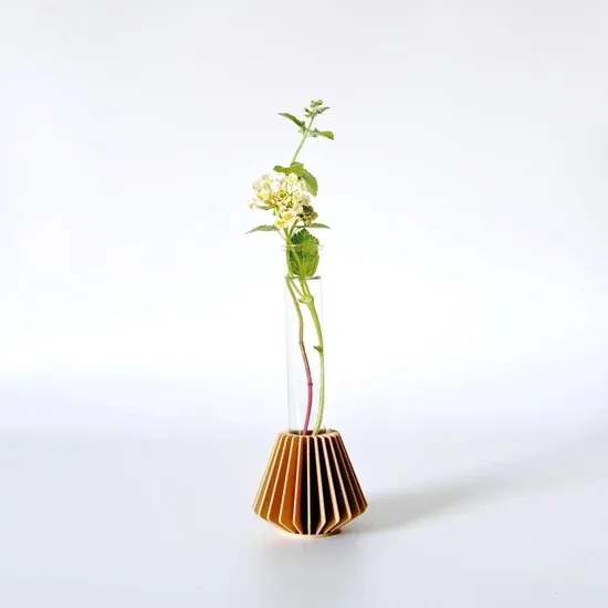 Hazelnut Hanok Mini Propagation Station