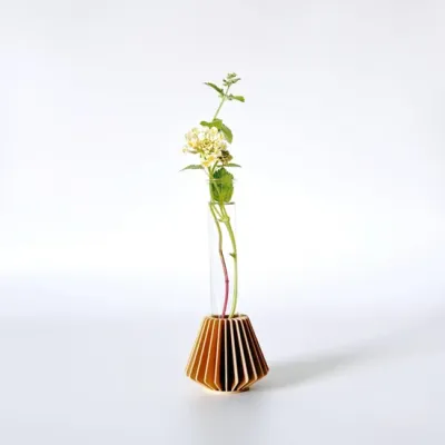 Hazelnut Hanok Mini Propagation Station