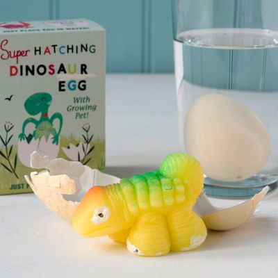 442 Rex London Hatch Your Own Dinosaur Egg