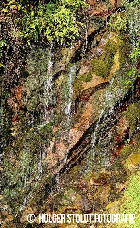 NASSE NATUR