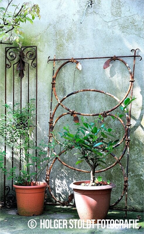 NICHT MEIN GARTEN