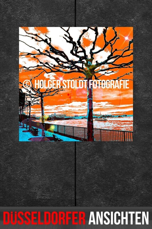 BÄUME AM RHEIN 1-2 QUAD