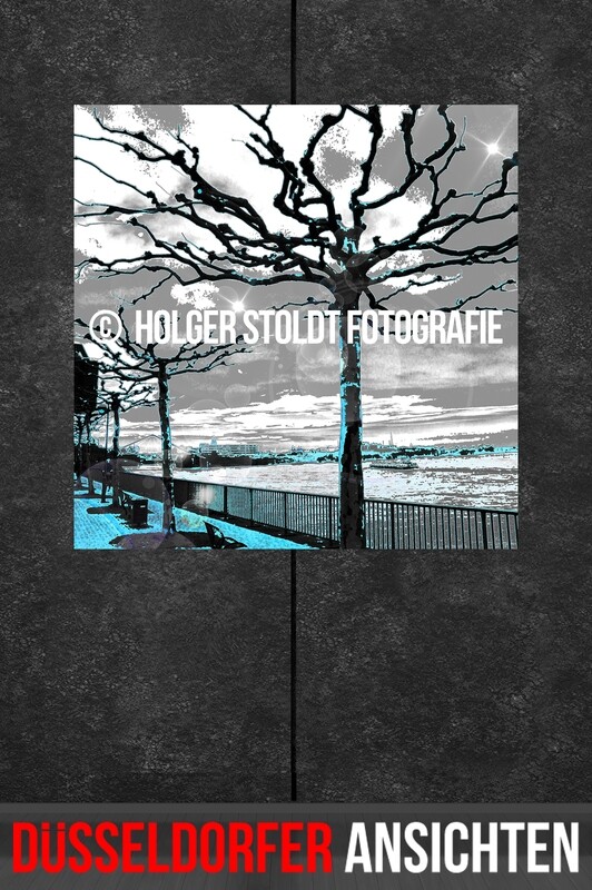 BÄUME AM RHEIN 1-5-2C QUAD