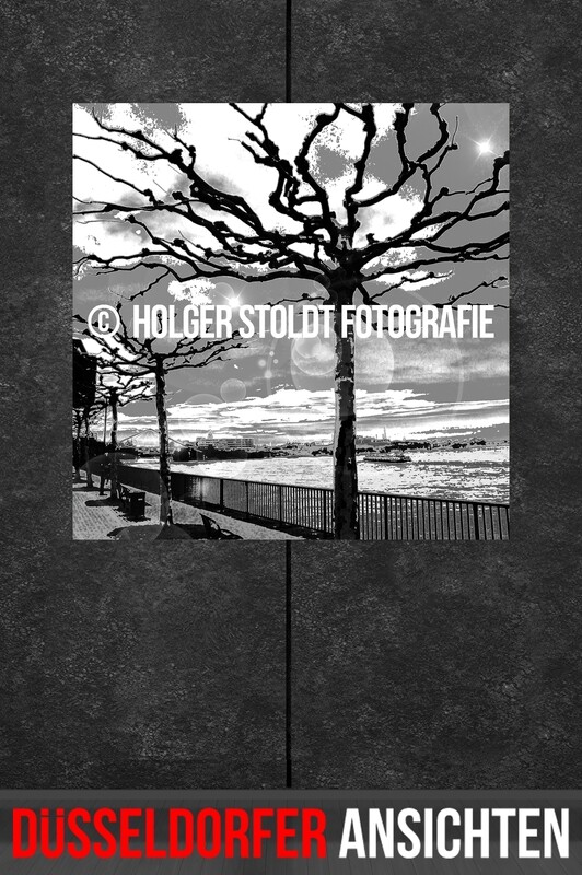 BÄUME AM RHEIN 1-1SW QUAD