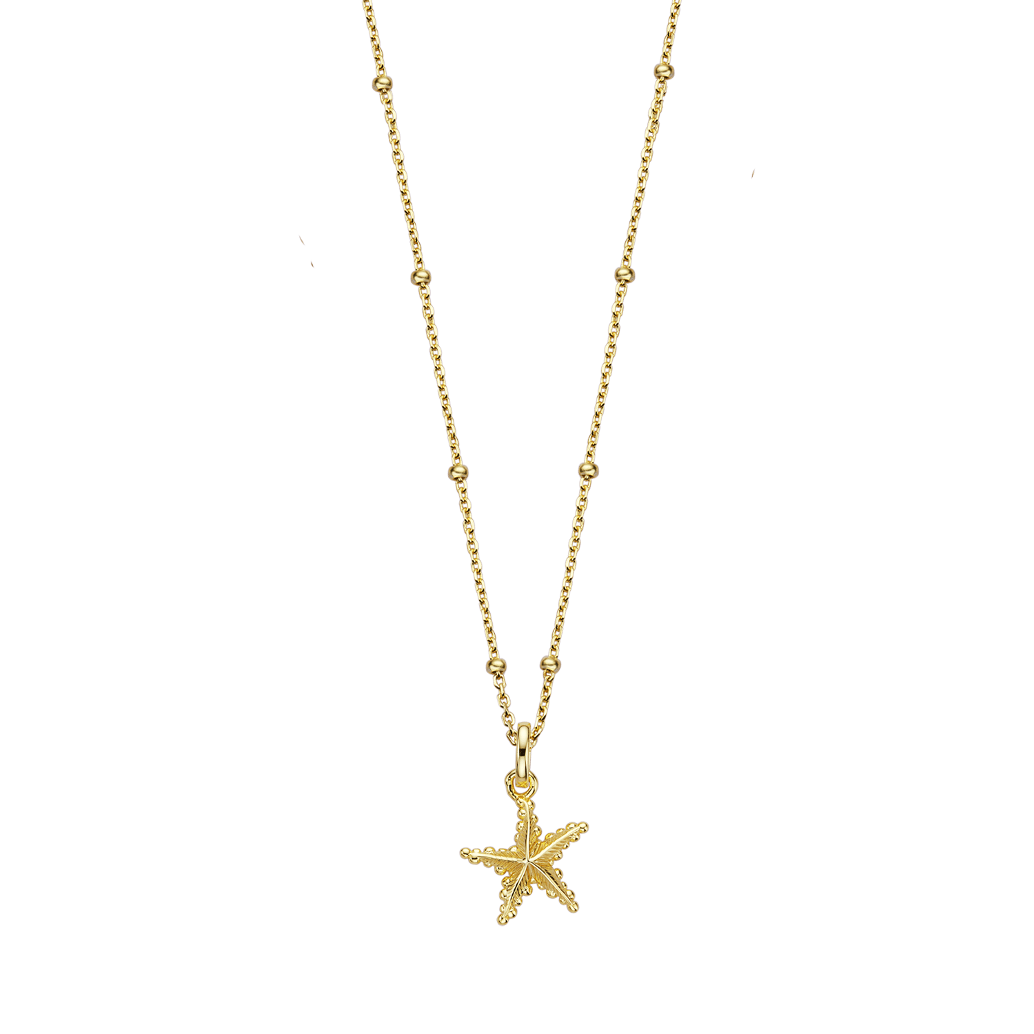 Kette mit Anhänger Silber vergoldet Xenox Halskette ISLAND Seestern Gold Kette mit Anhänger Silber vergoldet Xenox Halskette ISLAND Seestern Gold