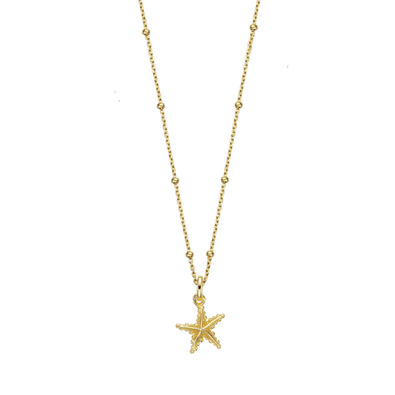 Kette mit Anhänger Silber vergoldet Xenox Halskette ISLAND Seestern Gold