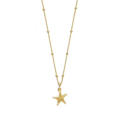 Kette mit Anhänger Silber vergoldet Xenox Halskette ISLAND Seestern Gold