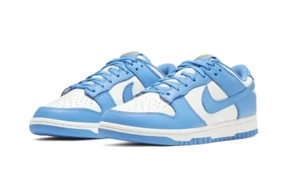 Nike Dunk Low Coast (W)
