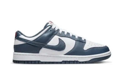 Nike Dunk Low Valerian Blue