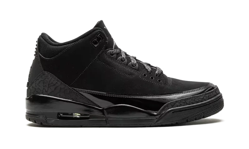 Air Jordan 3 Black Cat