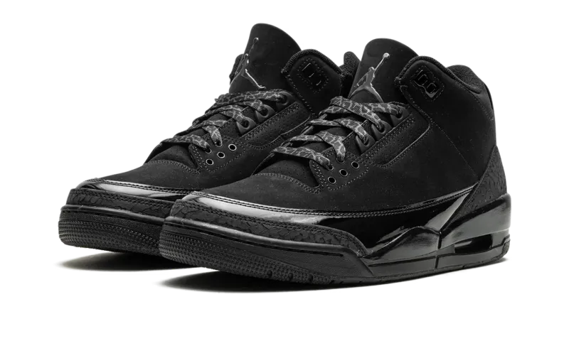 Air Jordan 3 Black Cat