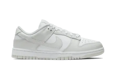 Nike Dunk Low Photon Dust