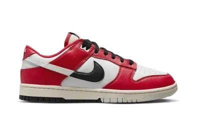Nike Dunk Low Chicago Split