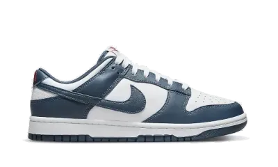 Nike Dunk Low Valerian Blue