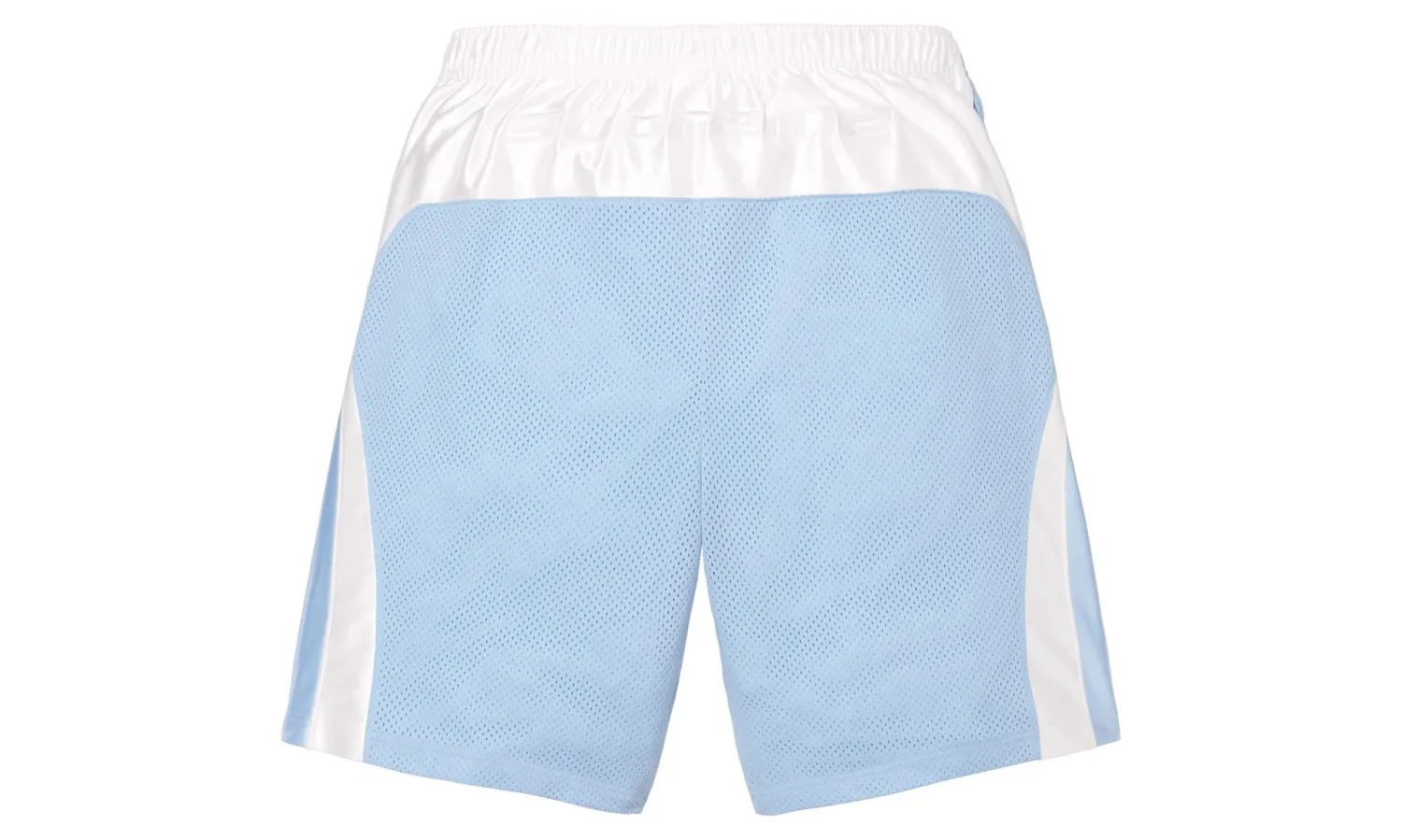 Supreme Jordan Short Light Blue