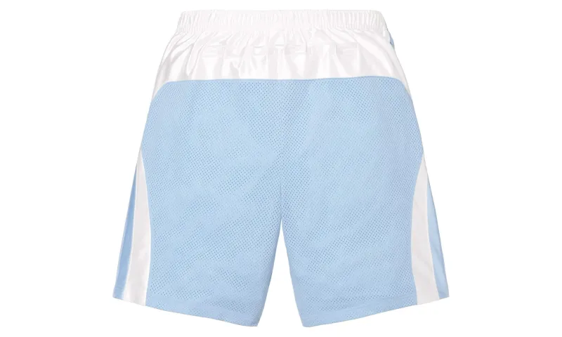 Supreme Jordan Short Light Blue