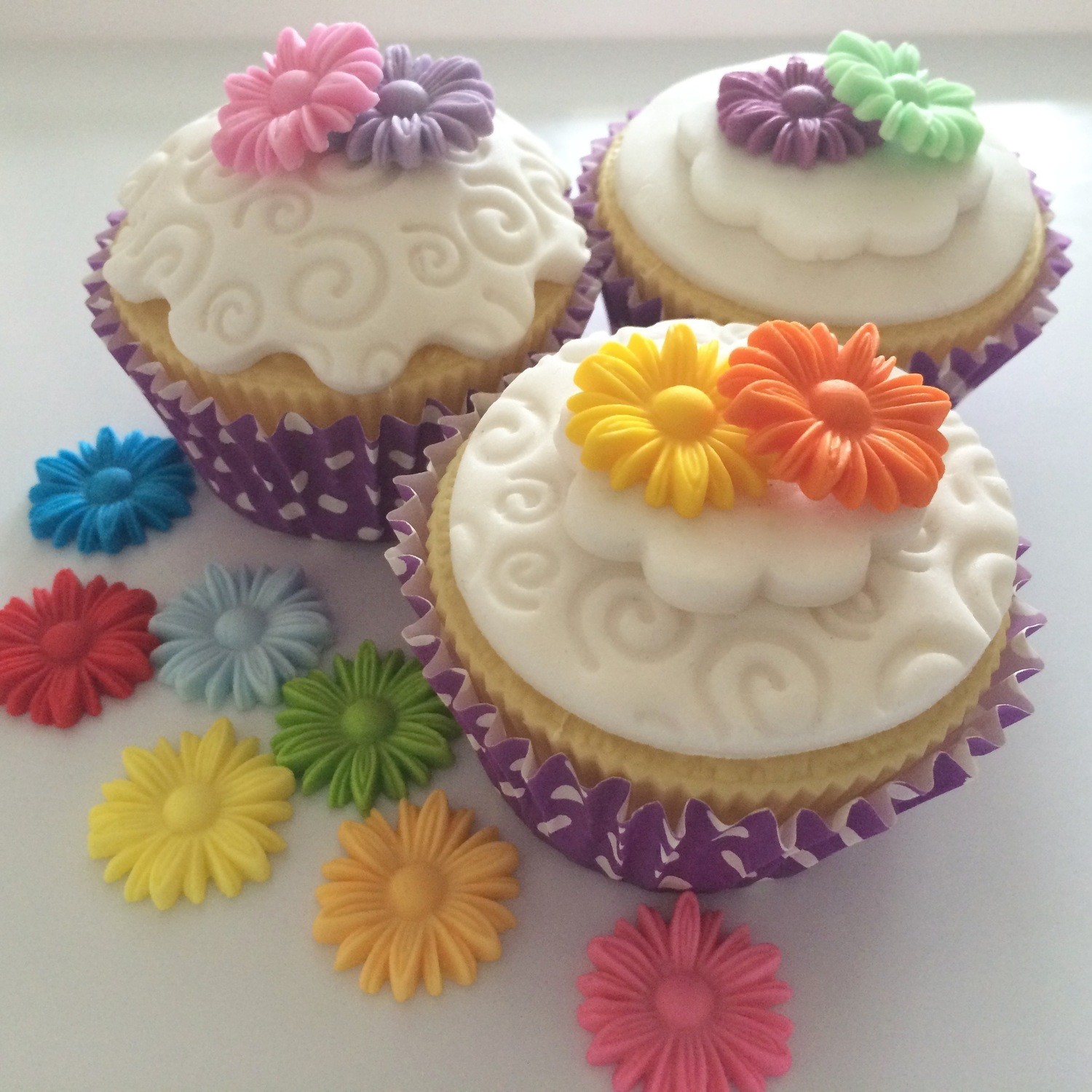 Edible Daisies