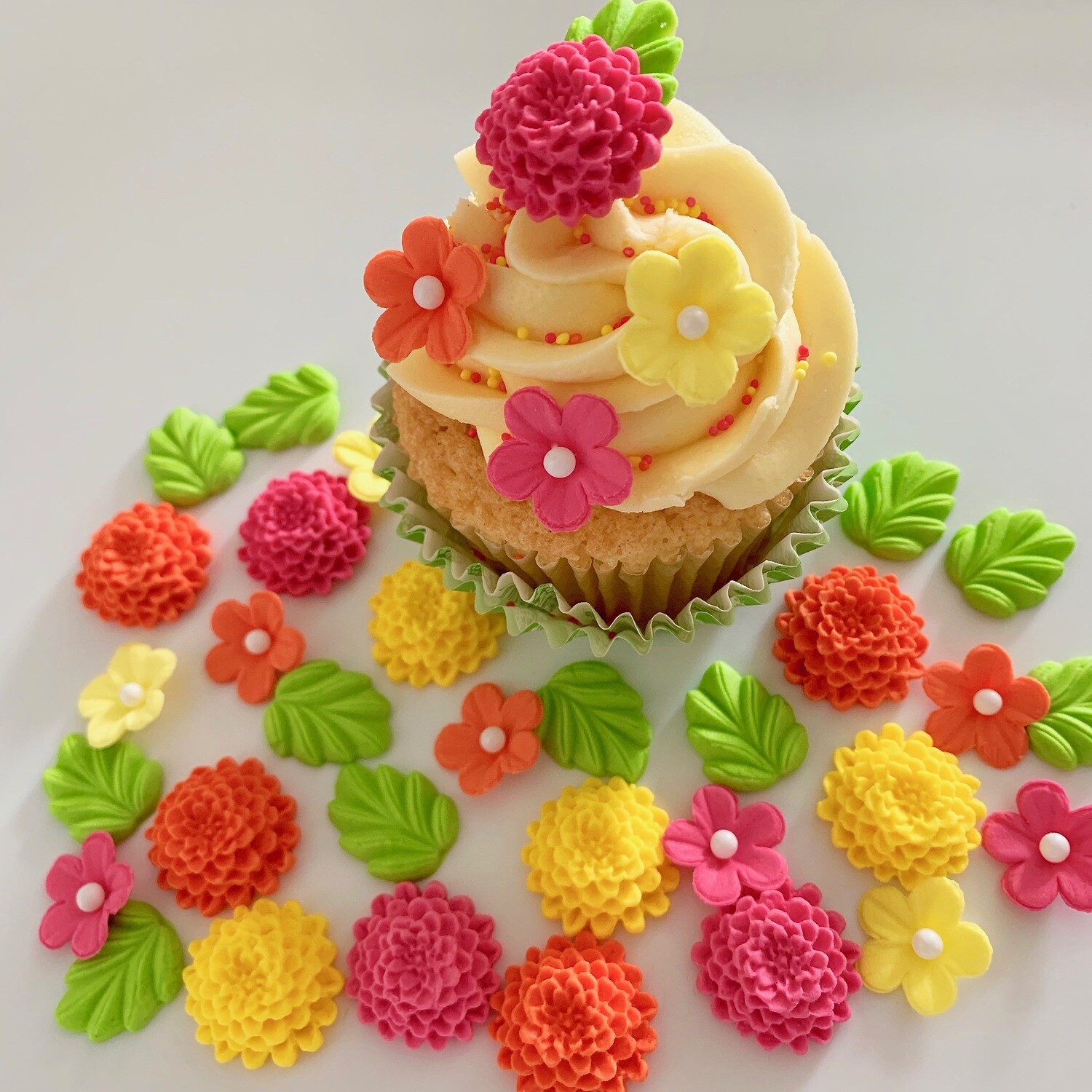 Bright Chrysanthemums