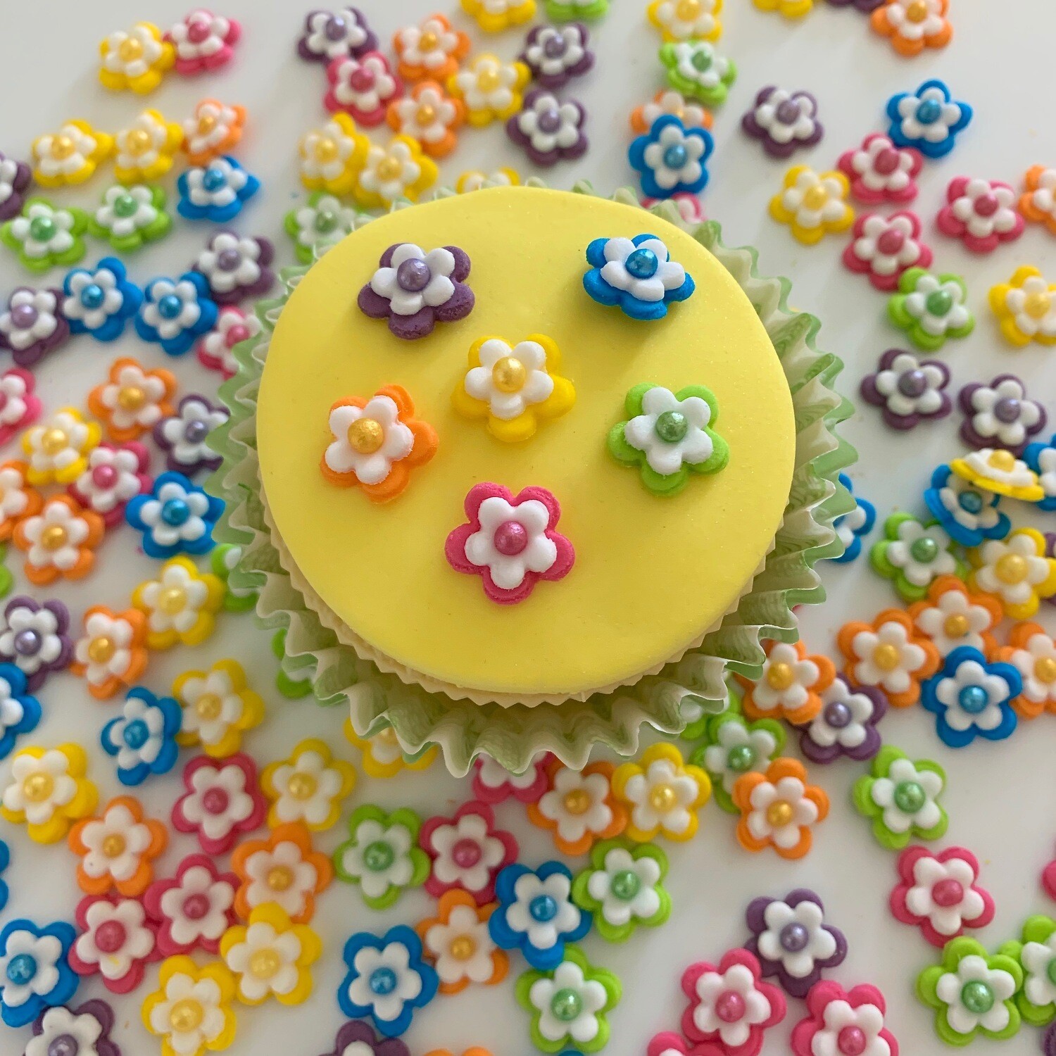 Mini Bright Flowers