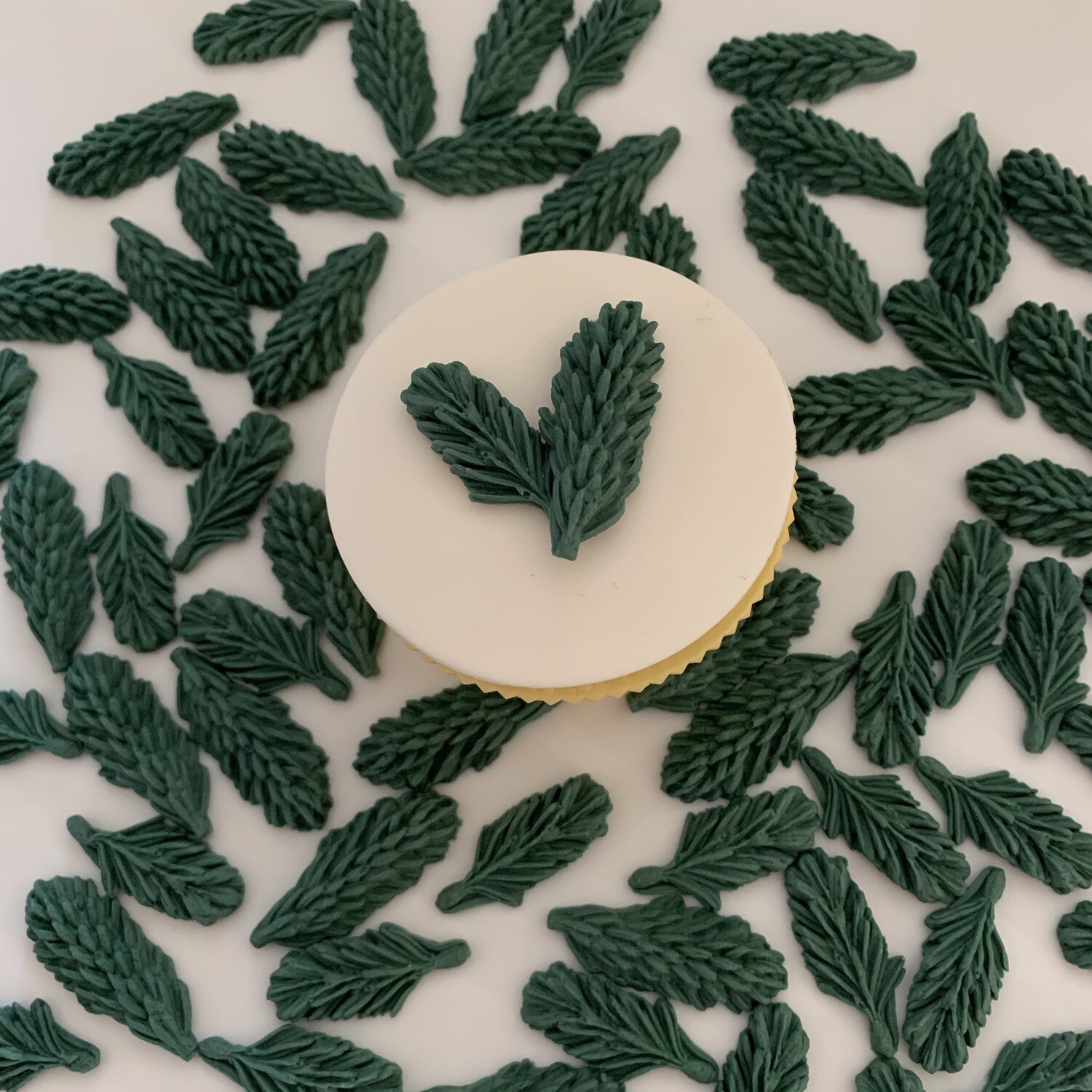 Pine Tree Tips