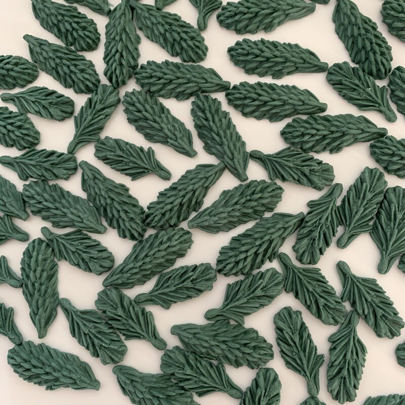 Pine Tree Tips