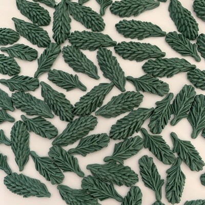 Pine Tree Tips