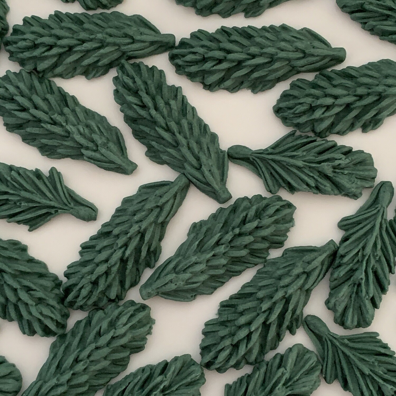 Pine Tree Tips