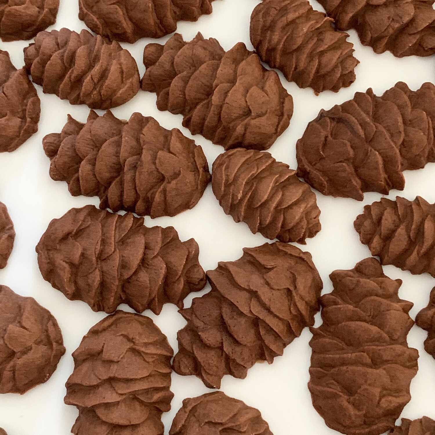 Pine Cones