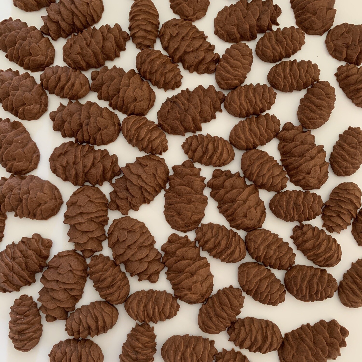 Pine Cones