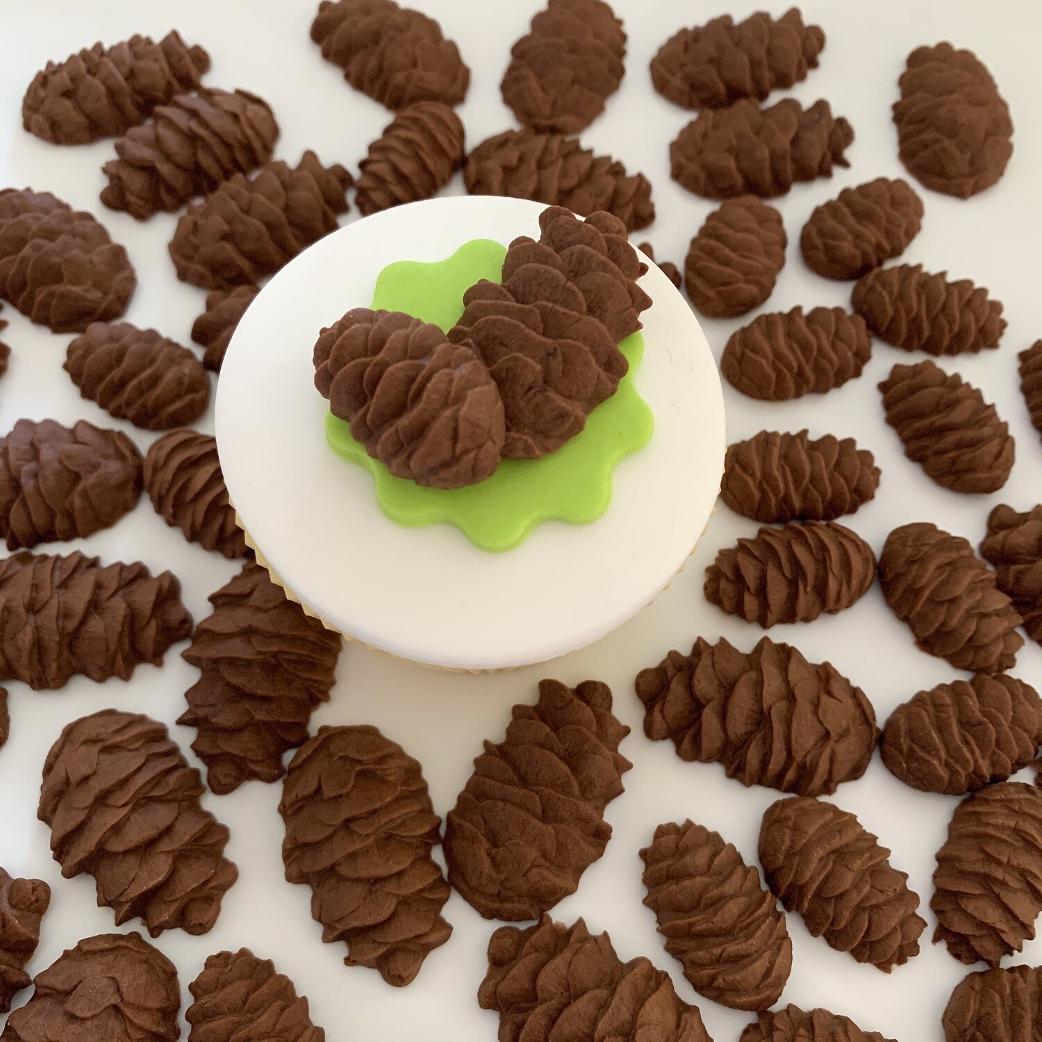Pine Cones