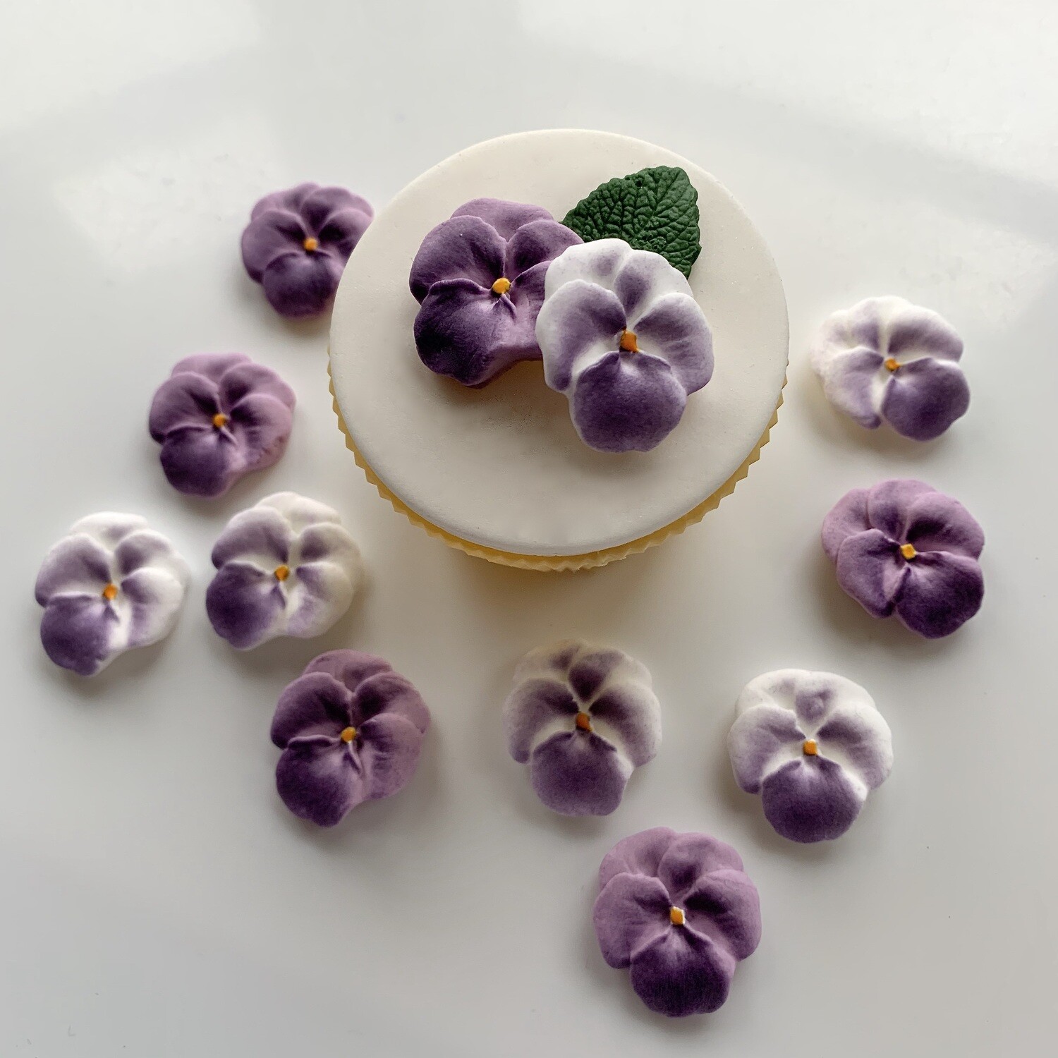 Purple Viola Pansies