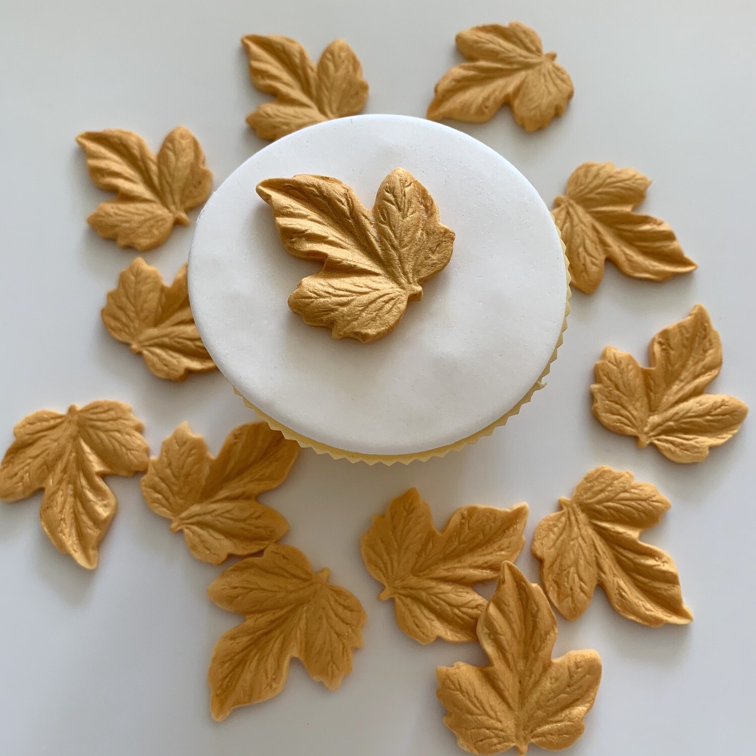 Gold Maple Leaves