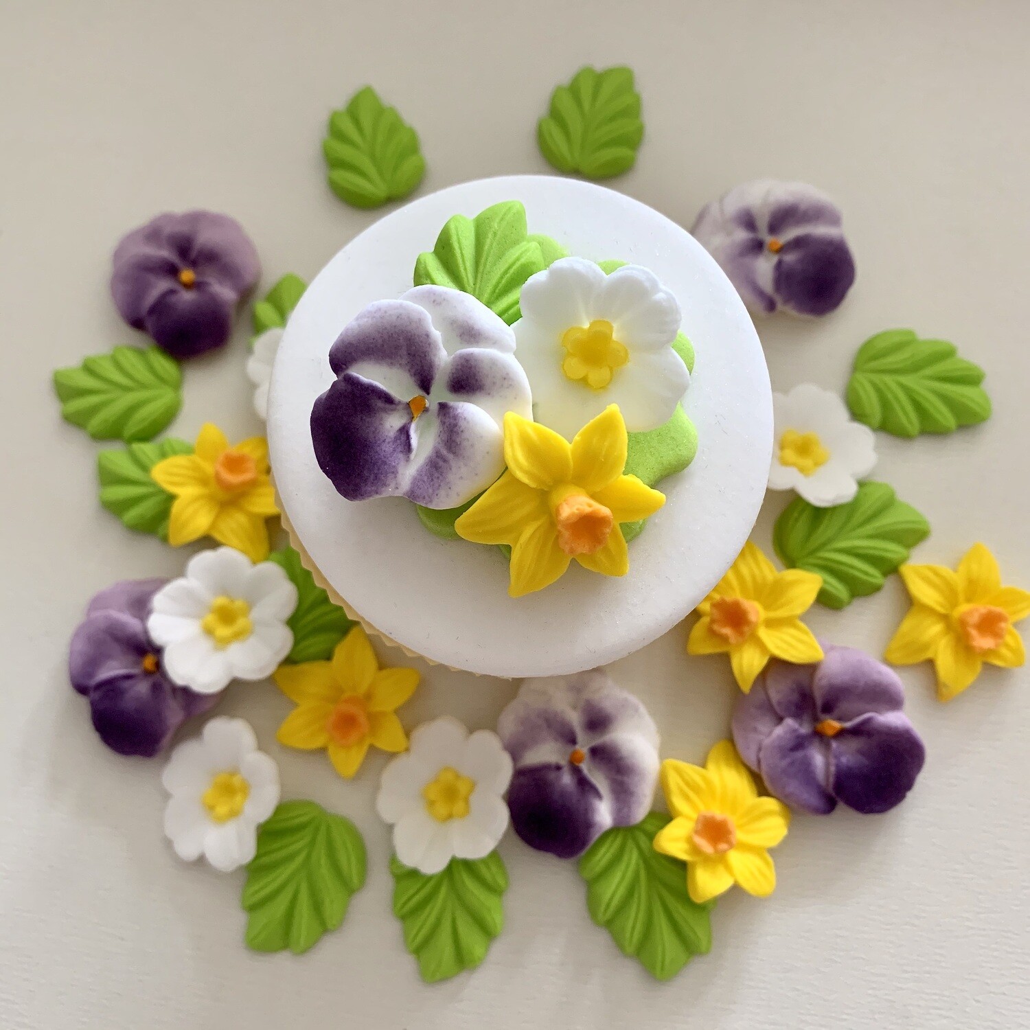 Pansy Daffodil Primrose Flowers